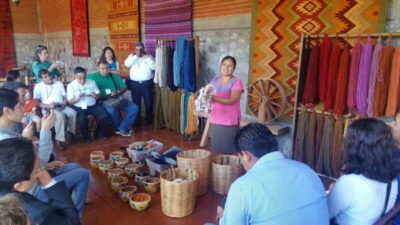 Oaxaca: Tule, Mitla & Hierve el Agua, & Mezcal Tour - Tree of Tule: The World’s Giant With a Zapotec Story