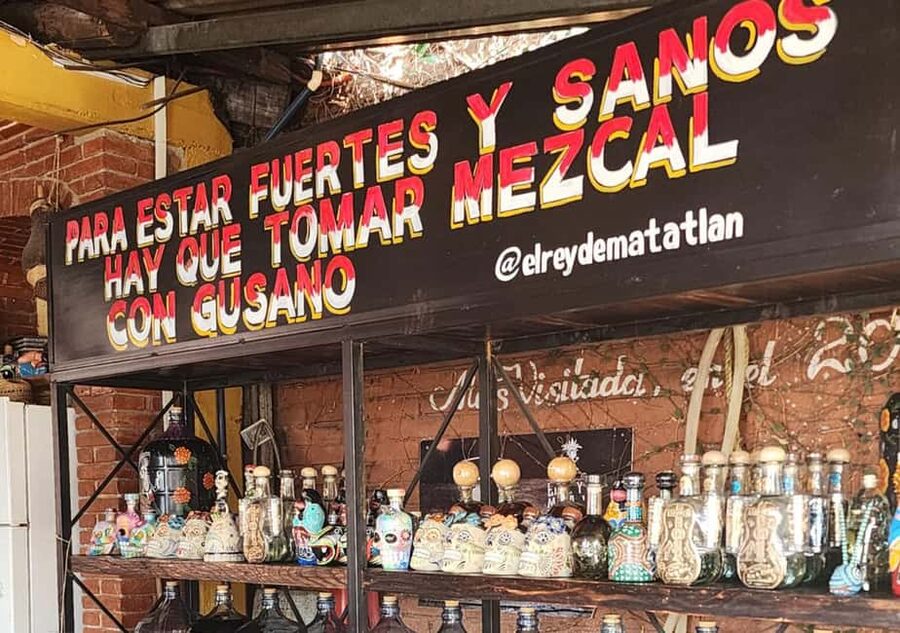 Oaxaca: Tule, Mitla & Hierve el Agua, & Mezcal Tour - Guides, Pace, and the Small-Group Advantage