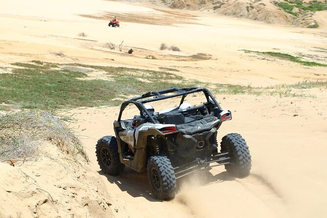 Off-Road Cabo Adventure: Beach and Desert Ride, Tequila Tasting - The Tequila Tasting: A Slower Finish After the Ride