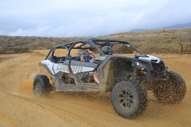 Off-Road Cabo Adventure: Beach and Desert Ride, Tequila Tasting - Why the Guides Make or Break the Day