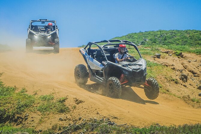 Off-Road Cabo Adventure: Desert & Beach Ride Plus Tequila Tasting - Photos and sea turtle moments: the extras that make it feel special