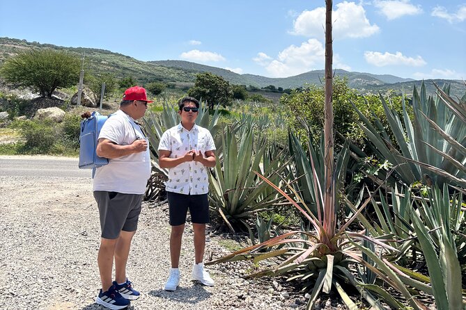 One day trip : Mezcal, Tlayudas & Textil - Back to Oaxaca City: how the timing fits into a 6-hour day