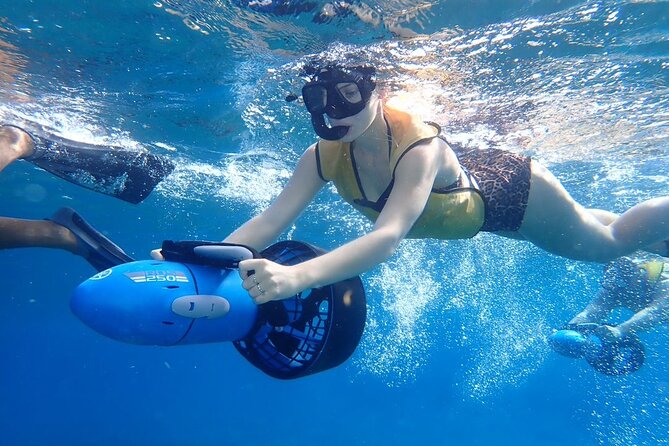 Power Snorkel By Sea Scooters & Tequila Tasting - Local Lunch and Mexican Flavors: More Than a Side Detail