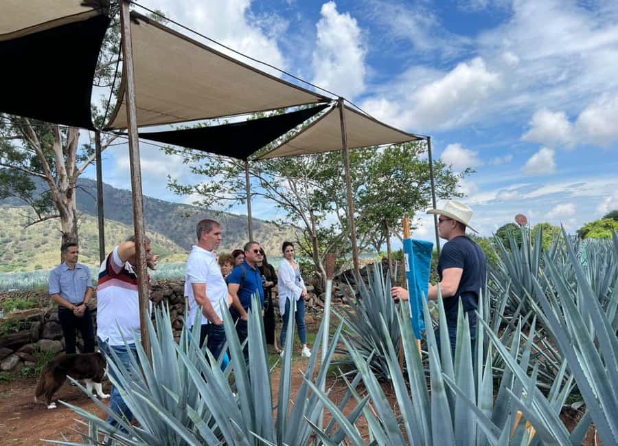 Premium Tequila Route with professional tasting - Key highlights you should care about