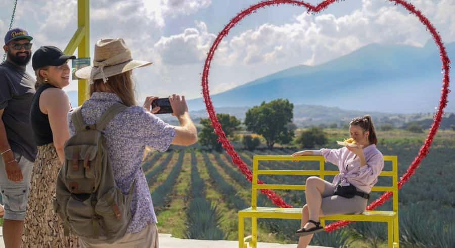 Premium Tequila Route with professional tasting - Getting on the right van: Guadalajara pick-up, cold drinks, and photos