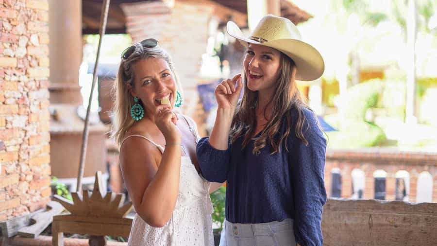 Premium Tequila Route with professional tasting - Stop 1: agave fields and what farmers really control