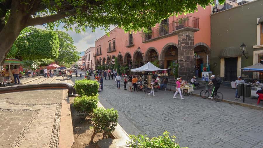 Premium Tequila Route with professional tasting - Stop 2: the distillery tour and how production changes the flavor