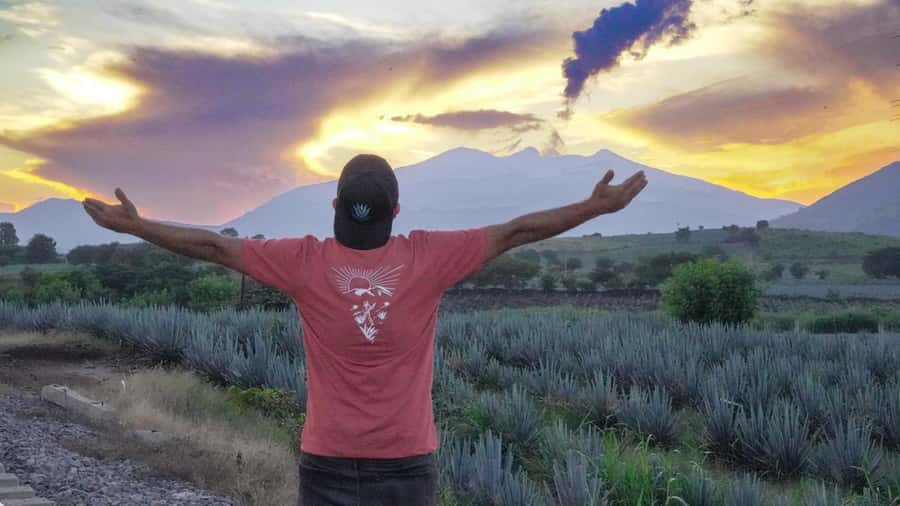 Premium Tequila Route with professional tasting - Pueblo Mágico of Tequila: time for streets, haciendas, and TEQUILA letters