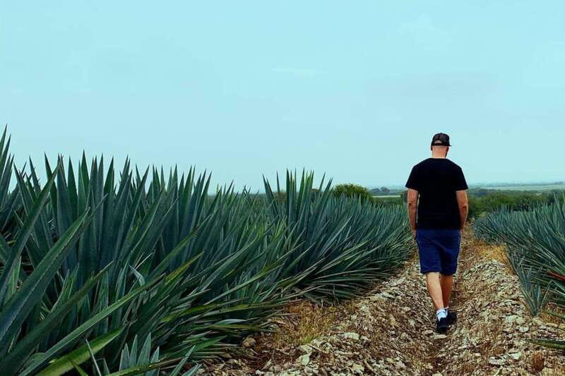 Private Adventure to Tequila and la Fortaleza Distillery - Who This Private Tequila Adventure Fits Best