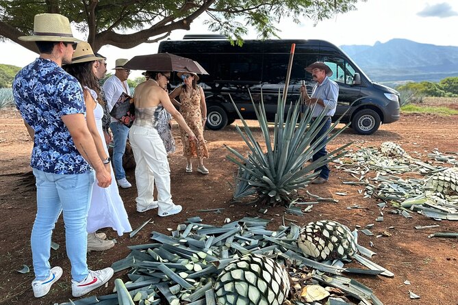Private Artisanal Tequila Tour - La Minerva stop in Guadalajara: a quick iconic anchor point