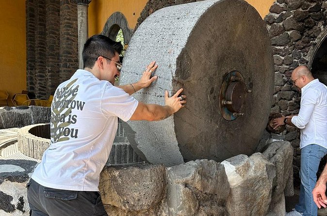 Private Artisanal Tequila Tour - Amatitan UNESCO Agave Landscape: learning the drink’s living background