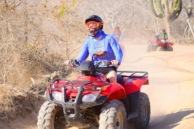 Private Can-am X3 turbo experience + Tequila Tasting - Wildlife and conservation moments: sea turtles are a real possibility