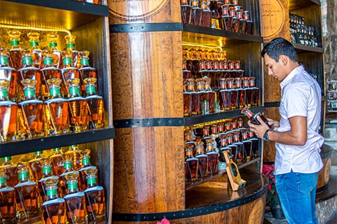 Private Day Adventure Tour in Tequila and visit to the Castle of Tequila - Is the private format worth it?