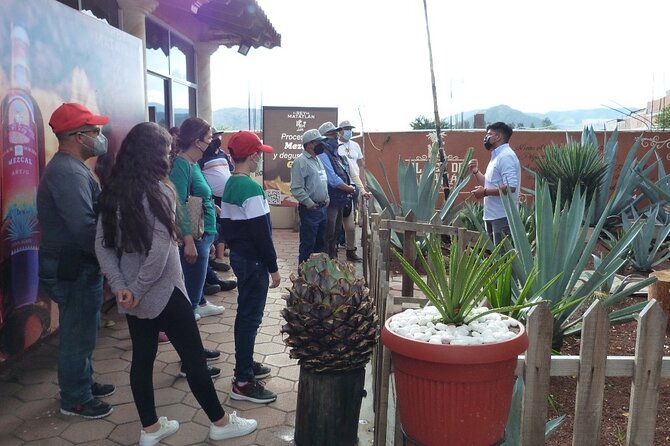 Private Family Tour visitng Mitla, Mezcal Factory, HIerve el Agua - Mezcal at Rancho Zapata near El Rey de Matatlan: process first, tasting optional