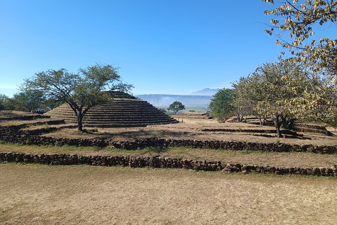PRIVATE Fire TOUR: Pyramids, Volcanoes, Agaves & Tequila - Destileria La Alborada: from cooked agave to distillation, plus a tasting