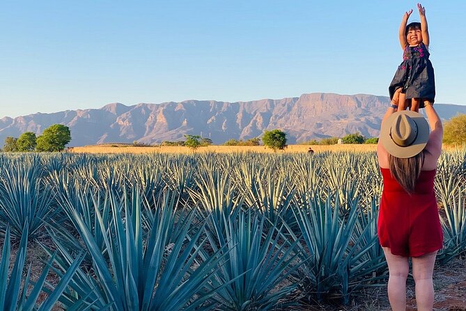 Private Full-Day Tour to Tequila Pueblo Magico - Tres Mujeres: Barrel Photos and Tequila Process Time