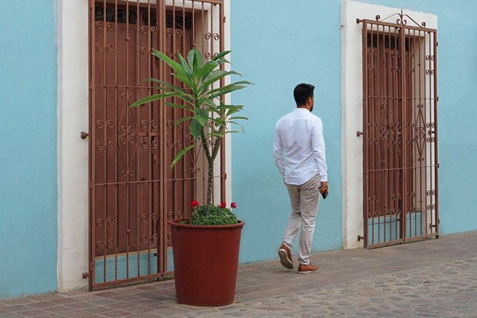 Private Oaxaca Walking Tour with Mezcal Tasting - Start at Museo de Sitio Casa JuárezManuel: your route and your pace
