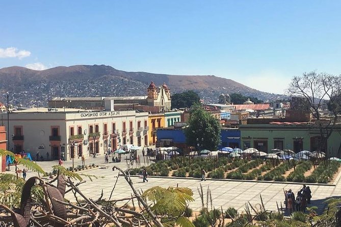 Private Oaxaca Walking Tour with Mezcal Tasting - The Cathedral and La Casa de las Artesanías: quick stops, useful context