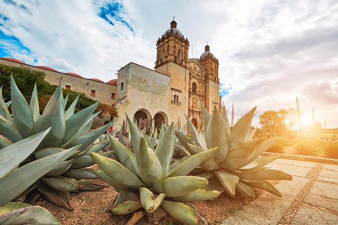 Private Oaxaca Walking Tour with Mezcal Tasting - MACO (Museo de Arte Contemporáneo de Oaxaca): modern art with real-world roots