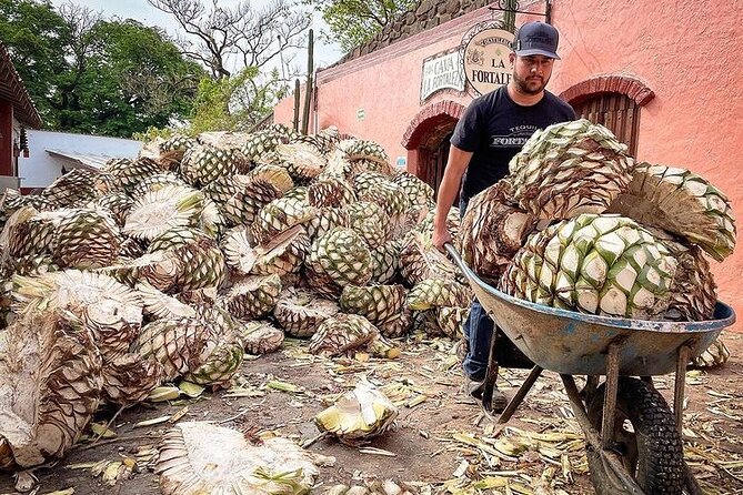 Private One Day Adventure Tour in Tequila and La Fortaleza Distillery - Stop 1: Tequila Selecto de Amatitan for artisan flavor plus a factory tour
