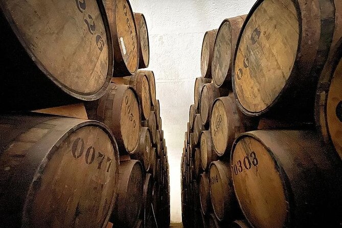 Private One Day Adventure Tour in Tequila and La Fortaleza Distillery - Tequila town free time: photos, portals, and the main square for shopping