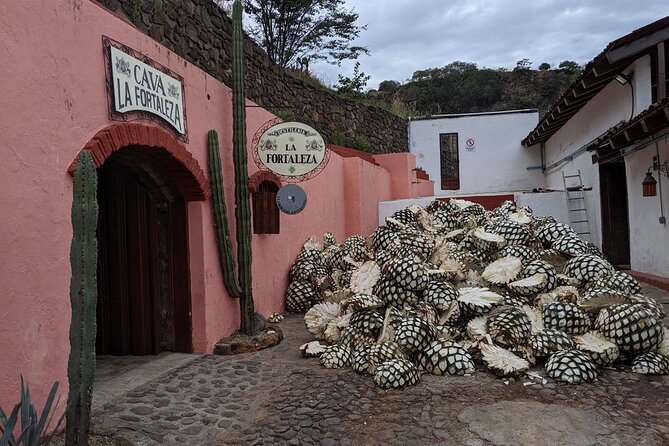 Private One Day Adventure Tour in Tequila and La Fortaleza Distillery - Guides and pacing: private, English offered, and room to ask questions