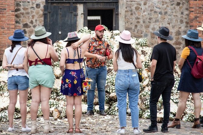 Private One Day Adventure Tour in Tequila and La Fortaleza Distillery - What to do before you go (so the day feels easy)
