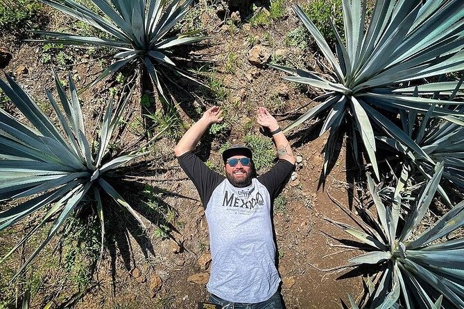 Private One Day Adventure Tour in Tequila and La Fortaleza Distillery - Stop 2: Tequila Fortaleza with Vive Abuelo or Viva Bisabuelo, then four expressions in the caves