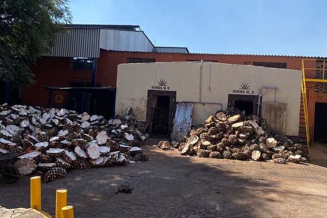 Private Tequila Tour - Two family distilleries: how the day teaches you to taste differences