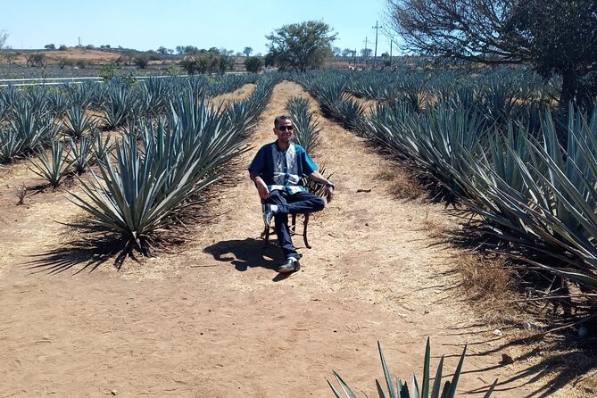 Private Tequila Tour in Guadalajara - Language, Timing, and Guide Tips That Actually Help