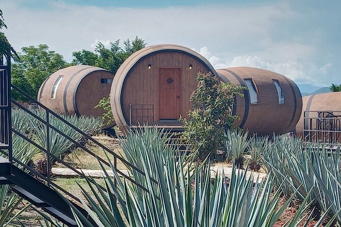 Private Tequila Tour in Guadalajara - Price and What $230 Actually Buys for Up to Four