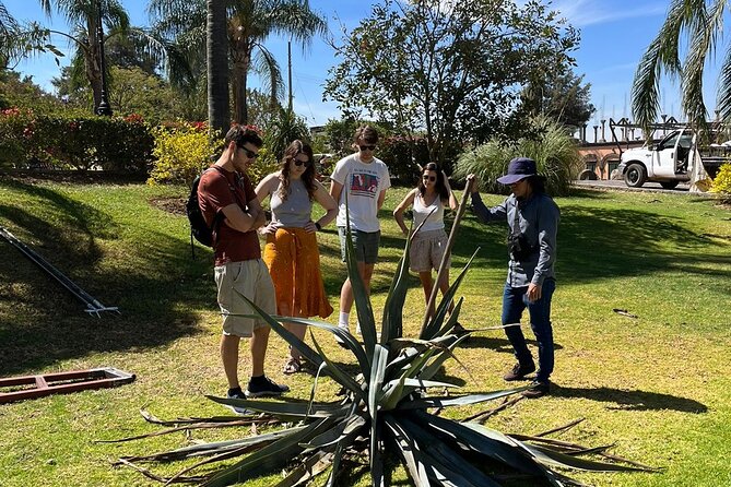 Private Tequila Tour with Local Expert - Town Hall mural stop: a quick look if authorities allow