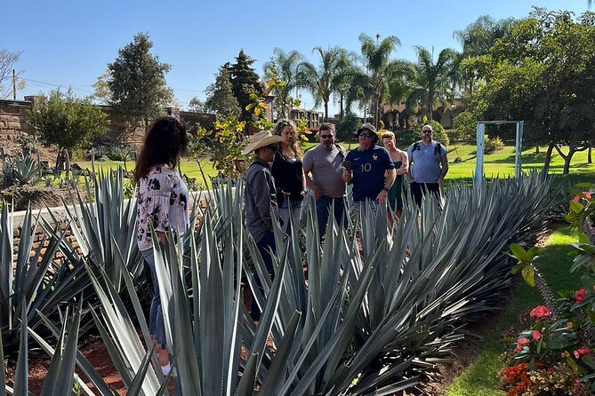 Private Tequila Tour with Local Expert - Stop 2: Jarritos La Puerta Del Agave for agave views and easy “snack break”