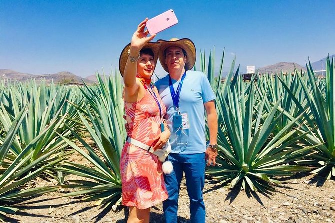 Private Tour, all inclusive: Tlacochahuaya, Mezcal, Teotitlán del Valle - Mezcal Don Agave in the Valley of Tlacolula: agave fields to a traditional pour