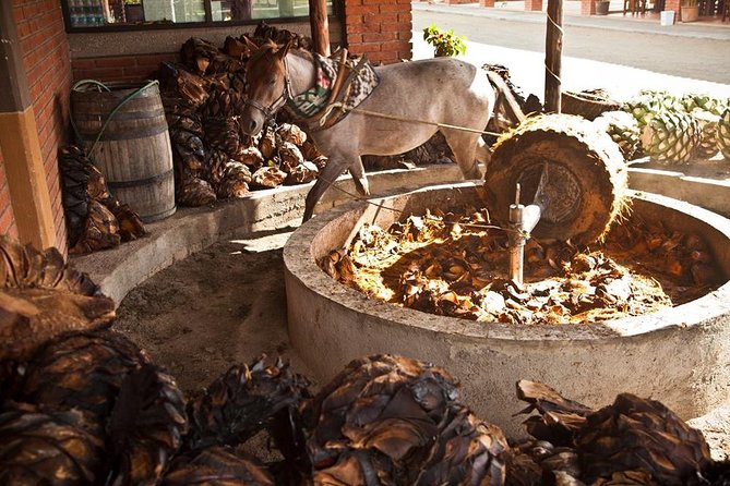 Private Tour, all inclusive: Tlacochahuaya, Mezcal, Teotitlán del Valle - Pantaleón Ruiz Studio: etchings and collaborative metal sculpture
