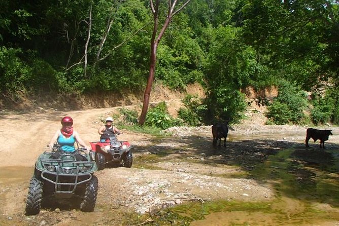 Private Tour: ATV SIERRA MADRE rivers with Tequila Tasting - Guides and Small Touches That Make It Feel Worth It