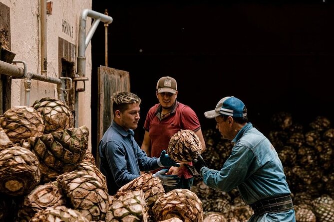 Private Tour Cascahuin Distillery and visit to Tequila - A 5–6 Hour Tequila Route From Guadalajara That Stays Comfortable