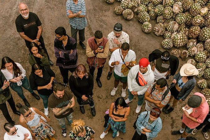 Private Tour Cascahuin Distillery and visit to Tequila - Who This Tour Fits Best (and Who Might Skip It)