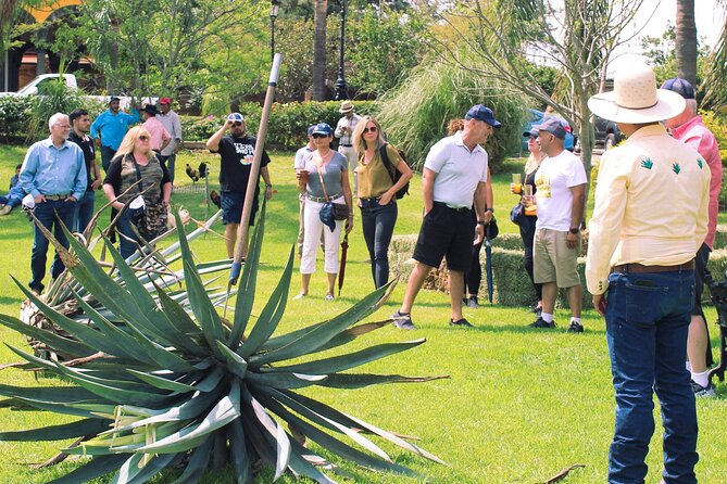 Private Tour La Fortaleza Distillery and visit to Tequila - Tequila Town Break: Portals, Main Square, and Easy Souvenir Time