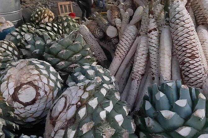Private tour Mitla, Weavers town, Mezcal and Boil the water - Private Oaxaca Day: how the route works and what you gain