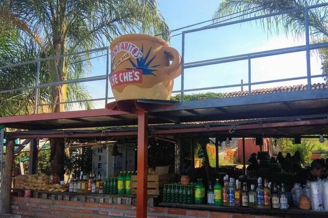 Private Tour of Magic Town Tequila Adventure Day Tour - Who This Private Tequila Adventure Day Is Best For