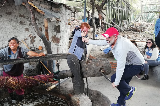 Private Tour of the Mezcal Route with Ancestral Drinks - Key highlights to look for