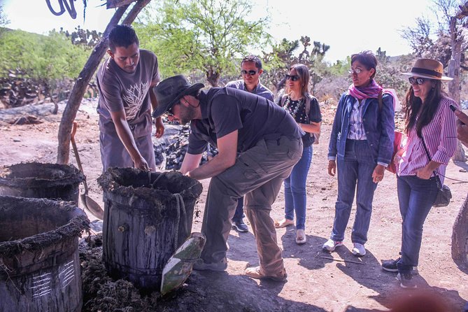 Private Tour of the Mezcal Route with Ancestral Drinks - Getting oriented: where you meet and how the timing works