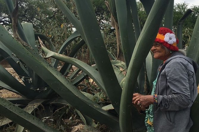 Private Tour of the Mezcal Route with Ancestral Drinks - Stop 2 in Derramaderos / mezcal patio visits: campanilla and clay-pot distillation