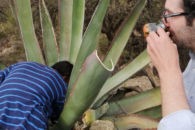 Private Tour of the Mezcal Route with Ancestral Drinks - Stop 3 in Mexquitic de Carmona: learning how to taste mezcal properly