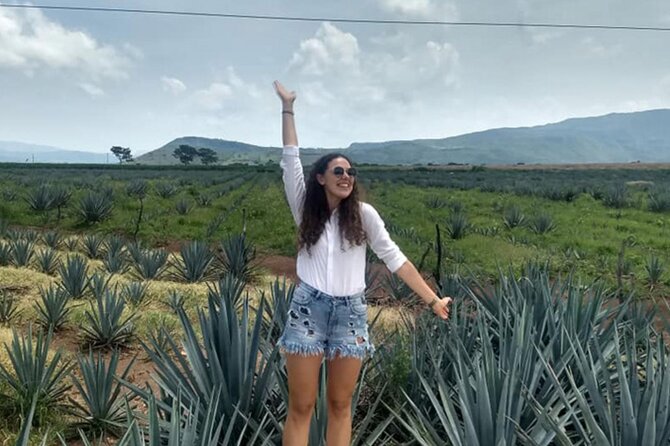 Private Tour one day of Adventure in the Guachimontones and Tequila Pueblo Mágico - Price and value: what you’re actually paying for at $148.66 per person