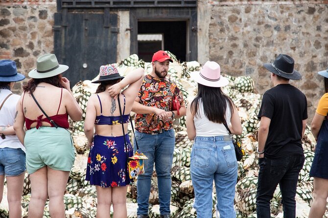 Private Tour one day of Adventure in the Guachimontones and Tequila Pueblo Mágico - Who this one-day Guachimontones and Tequila tour is best for