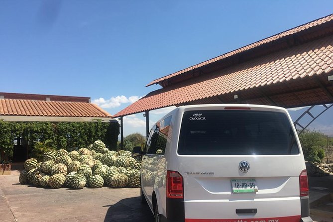 Private Tour to Hierve el Agua, Mezcal Tasting, and Textiles - Cost, Timing, and Admissions: Where the Value Really Shows Up