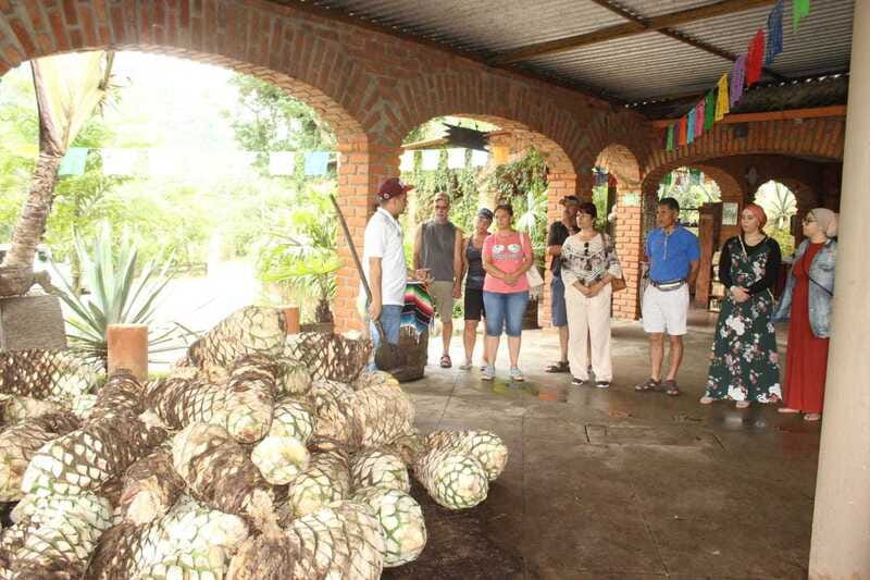 Puerto Vallarta: City Tour, Tequila and Coffee Factory Tour - Key Highlights You’ll Actually Feel During This Tour