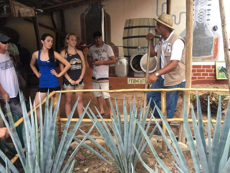 Puerto Vallarta: Predator ATV & Tequila Tour - Key Highlights Worth Getting Excited About